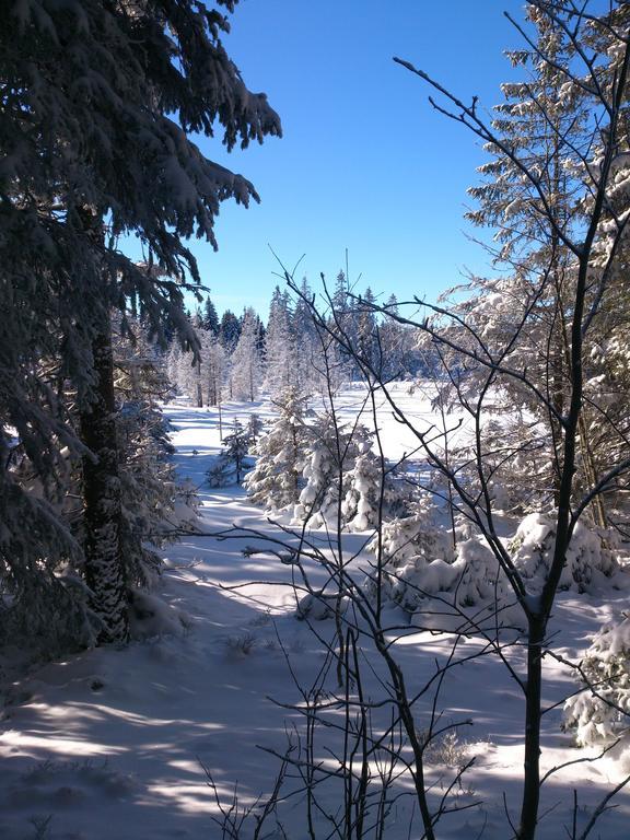 Schwarzwald-Chalet Feldberg Exteriör bild