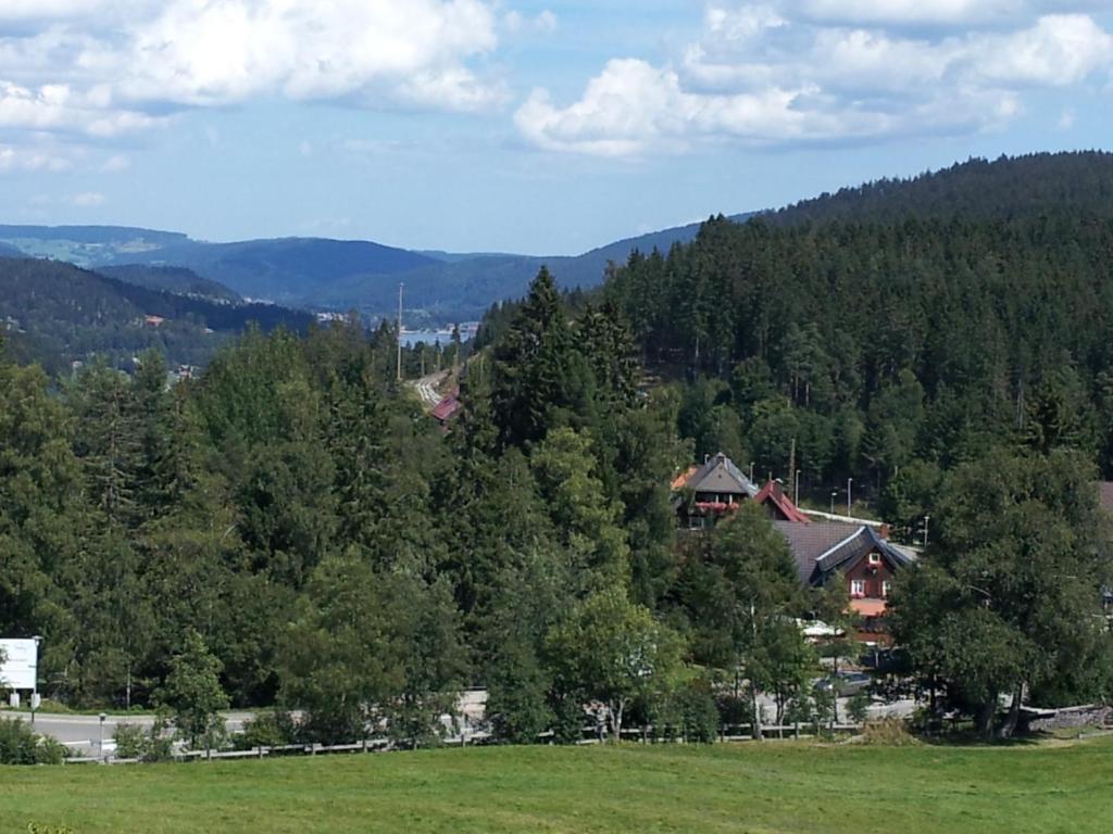 Schwarzwald-Chalet Feldberg Feldberg  Exteriör bild